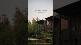 คาเฟ่ (ไม่) ลับ แห่ง ม.มหิดล ศาลายา “Little Tree Grocery” ☕️🌿