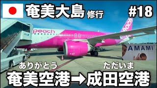 【奄美大島修行#18】 奄美空港➡︎成田空港