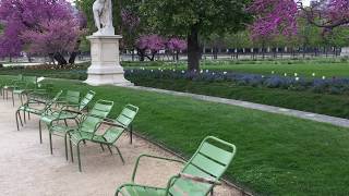 Jardin des Tuileries in Springtime at Paris, France