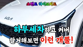 쏘렌토 하이브리드 언더코팅 vs 하부세차 고민이라면?