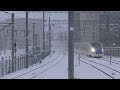 北陸新幹線w7系w19編成 かがやき500号 230125 jr hokuriku shinkansen nagano sta.