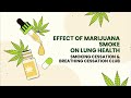 The Effects of Marijuana Smoke on Lung Health | Dr. Curnew MD