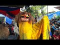 dan terjadi lagi.... barongan nwb beranak di mentosari gringsing ~ ngesti wargo budoyo