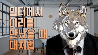 [방선기 컬럼] 일터에서 이리를 만났을 때 대처법