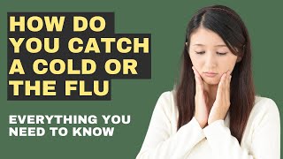 How Do You Catch A Cold Or The Flu