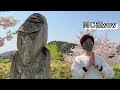 いわき回廊美術館 いわき万本桜 満開🌸 runa＆hayatoでプチ花見www