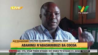 AGEIHANGWE: Abahingi n'abashuubuzi ba Cocoa baine obusaasi- Bundibugyo.