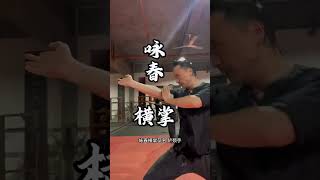 Wing Chun Horizontal Palm #wingchun #kungfu #詠春拳 #詠春 #咏春拳 #咏春 #功夫 #vingtsun