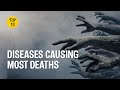 Top 10 Diseases causing the most deaths today