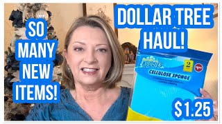 DOLLAR TREE HAUL | So Many NEW Finds | $1.25 | DT NEVER DISAPPOINTS😁 #haul #dollartree