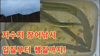 저수지 장어낚시!! 원투낚시 입질부터 챔질까지!(대물조과 확인!!) [괴짜낚시 tv]