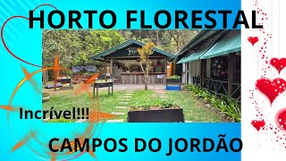 HORTO FLORESTAL - CAMPOS DO JORDÃO - UMA AVENTURA INESQUECÍVEL - VOCÊ PRECISA VER TUDO ISTO!