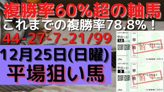 【競馬予想】１２月２５日の複勝率６０％超の軸馬（３レース）！平場勝負レース該当馬（２レース）の配信！