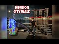 MERLION CITY - WALKING TOUR BY TraveLODI