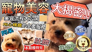 🐶🐱菓子姐姐寵物篇外景篇：體驗寵物美容-培菓寵物新竹北大店使用yu洗毛精 清耳朵 剪指甲 貓狗洗澡大不同