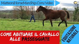 Come abituare il cavallo alle passeggiate