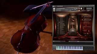 Best Service Emotional Cello -Teaser