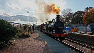 Autumn Steam on the Bluebell Railway | 27/10/2024