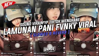 Dj Lamunan Pani Fvnky ( Slowed & Reverb ) Viral Fyp Tiktok Mengkane Full Bass🎧