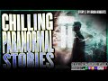 5 true chilling paranormal stories hauntings and chilling encounters with the other side