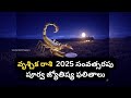 scorpio 2025లో వృశ్చిక రాశి ఆర్థిక వృత్తి ప్రేమ మరియు ఆరోగ్య పరిపూర్ణత