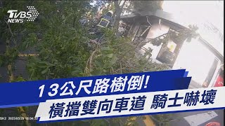 13公尺路樹倒! 橫擋雙向車道 騎士嚇壞｜TVBS新聞@TVBSNEWS01