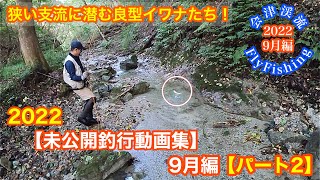 2022会津渓流FlyFishing【未公開釣行動画集】9月編【パート2】狭い支流に潜む良型イワナたち！