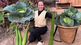 Harvest gourds and vegetables to sell at the market, and take care of chickens