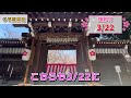 【京都】桜の名所といえば！part2