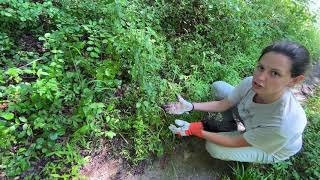 Trail Stewards with Tina Notas | Trail Stewards