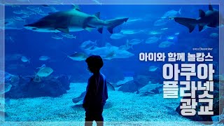 [아이와 함께 가볼만한곳] 아쿠아플라넷 광교(갤러리아 백화점 광교점, 수원 아쿠아리움) 아빠와 아들 여행