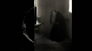 Amber Waves (Official Acapella) - Ethel Cain