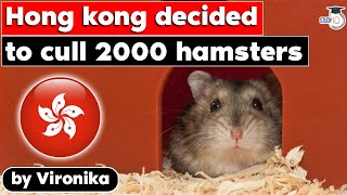 Hong Kong decided to cull 2,000 hamsters over Covid fears | UPSC Current Affairs