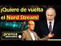 ÚLTIMA HORA! Alemania ruega por restablecer relaciones con Rusia!