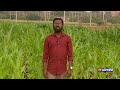 రైతునేస్తం raithunestham agriculture programme