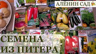 Большая закупка СЕМЯН в Питере / Самый длинный чек в жизни...