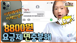 핸드폰 금지령 인가?8800원 요금제로 바꿔준다구요? 핸드폰 용량늘리는법 꿀팁 무제한도 가능 충격적인 요금제 대반전 | 모야모야패밀리 moyamoyafamily