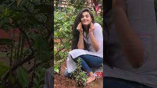 Krithi Shetty❤️| so cute | bullet song😘| south Actress | status #short #shortvideo #youtubeshorts