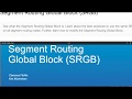 Segment Routing Global Block (SRGB)