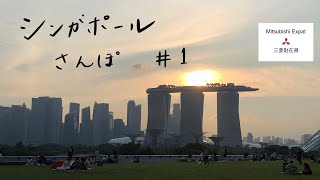 [4K]シンガポールさんぽ マリーナベイサンズ - ラオパサ - Telok Ayer