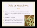 Fecal Microbiota Transplantation -- Mitsuya Katayama, MD