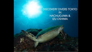 Discovery Divers Tokyo in Hachijojima \u0026 Izu Oshima