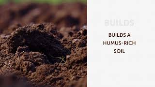 Huma Fertil Humus: Soil Fertility Product