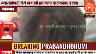 न्यायडोंगरी येथे जंगली प्राण्याचा बालकांवर हल्ला