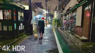 [ASMR] Relaxing Rain Sounds on a Calm Night Walk in Arakawa City | Tokyo, Japan | 4K/HDR