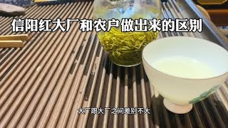 信阳红茶大厂和农户做出来的区别。