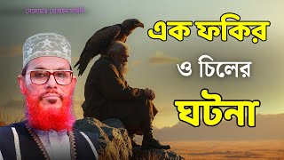 এক ফকির ও এক চিলের ঘটনা | দেলোয়ার হোসেন সাঈদী ওয়াজ