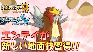 【ポケモンUSM】新しい地面技習得！エンテイ【シングルレート】