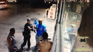 Security Officer Uses Pepper Spray to End Fight