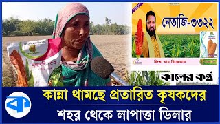 বীজ কিনে প্রতারিত কৃষক, লাপাত্তা ডিলার | Fake Seeds | Farmers | Kaler Kantho